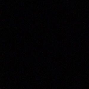 Meet your Posher, Leo